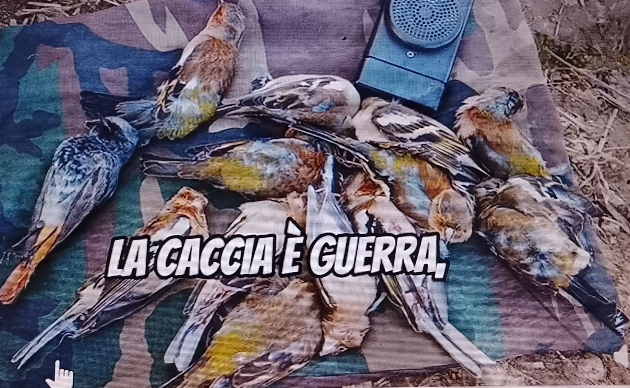 caccia  guerra 2026-05-14 at 20.25.51 - copia